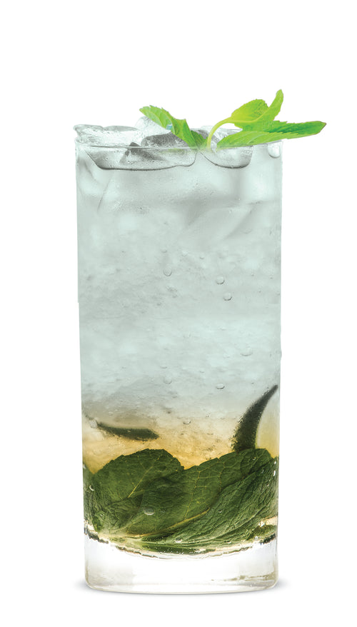 Mint Mojito RedBull